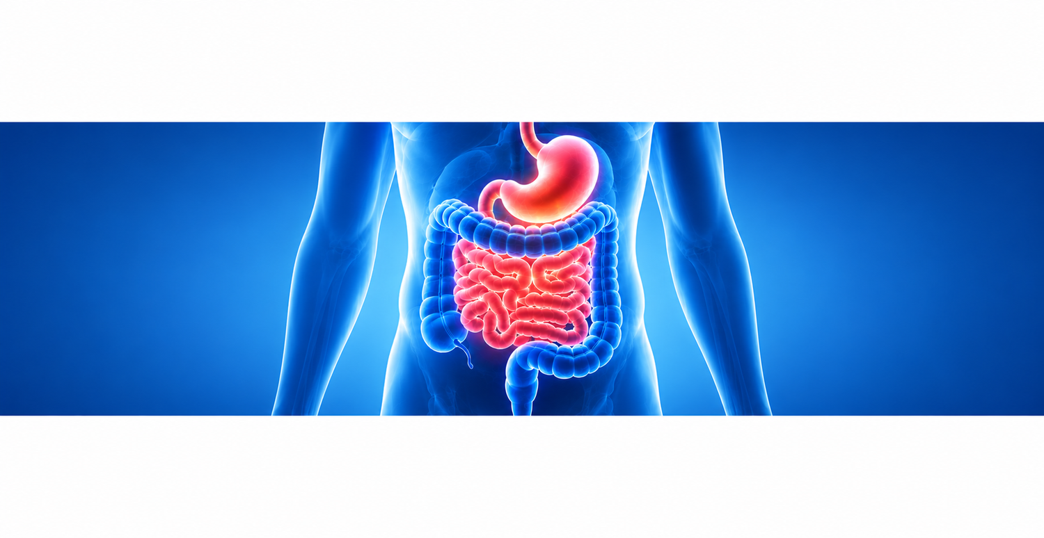 Gastro Health